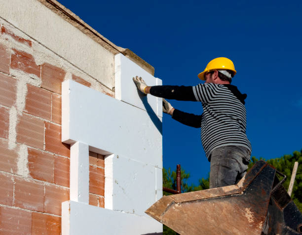 Best Eco-Friendly Insulation in Lynwood, IL